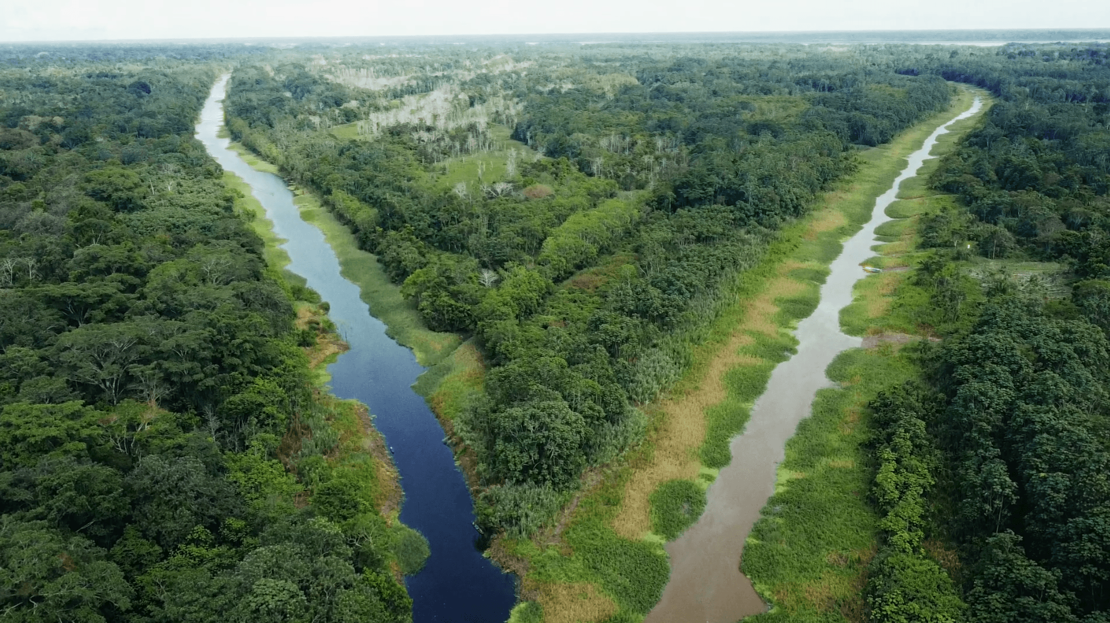 Amazonas. Amak Iquitos